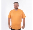 LARANJA PARADISE
