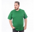 VERDE BANDEIRA